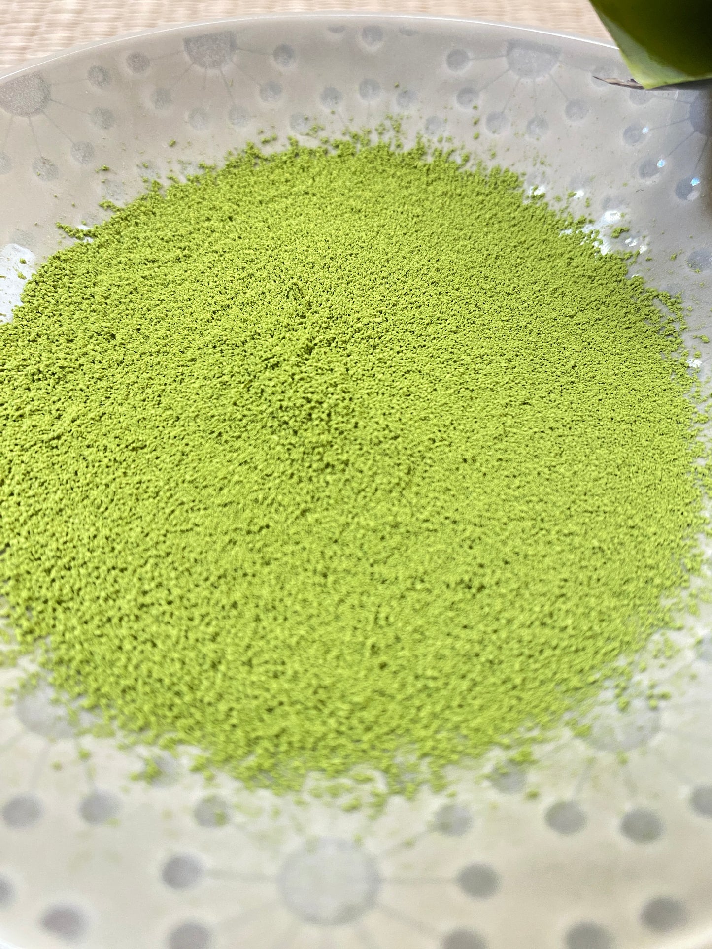 Caja de palitos de matcha orgánico Matcha